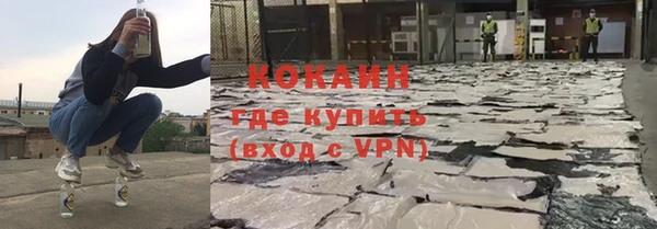 стафф Бородино