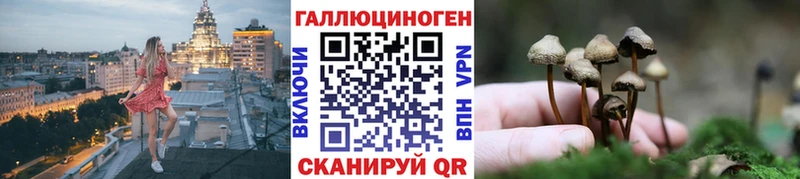 Псилоцибиновые грибы мухоморы  Качканар 